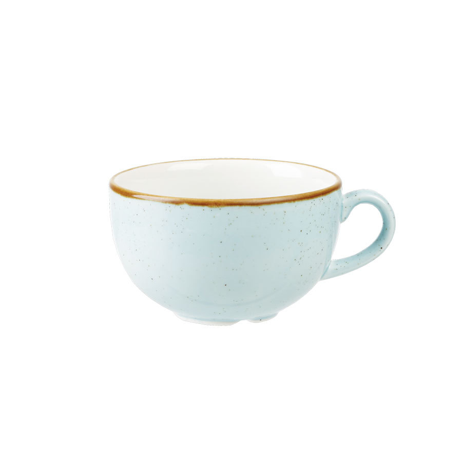 Stonecast Duck Egg Blue Cappuccino Cup 14oz 1 Stonecast Duck Egg Blue Cappuccino Cup 14oz
