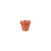 Bit On The Side Paprika Plant Pot 2oz