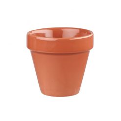 Bit On The Side Paprika Plant Pot 17oz
