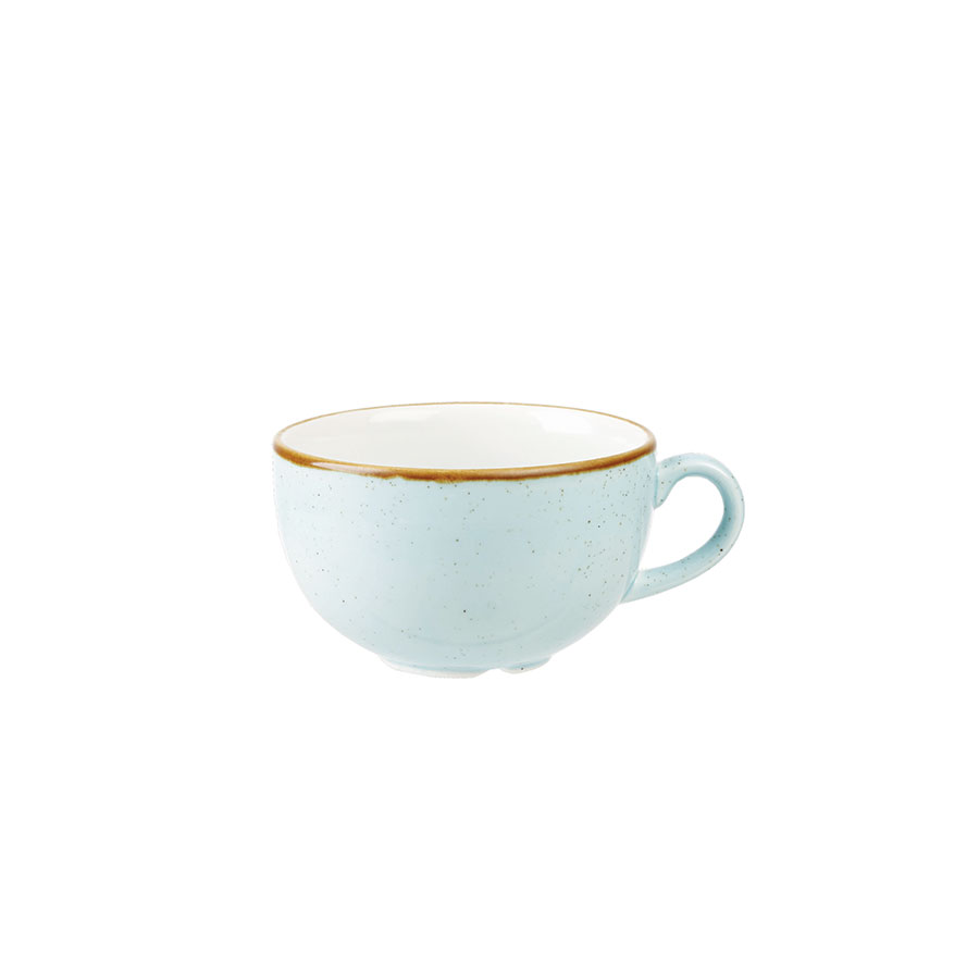Stonecast Duck Egg Blue Cappuccino Cup 8oz 1 Stonecast Duck Egg Blue Cappuccino Cup 8oz