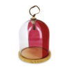 Inspired By Revol Two-Tone Glass Cloche & Wood Base