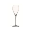 Hyrbid Champagne Flute 28cl 9oz