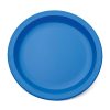 Plate Narrow Rim Blue 17cm Polycarbonate